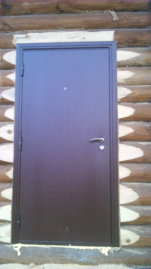 Двери металлические в деревянный дом